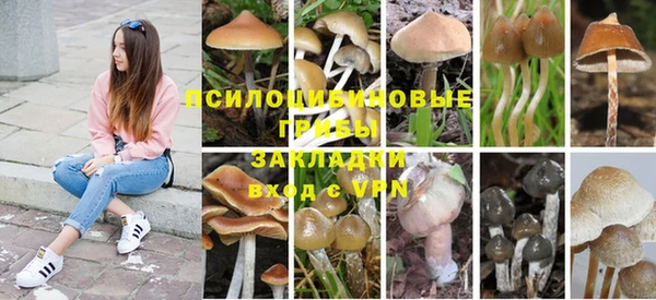 бошки Волосово