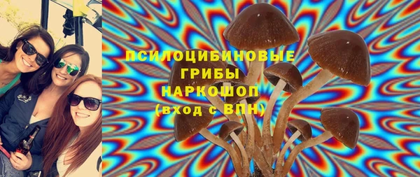 бошки Волосово