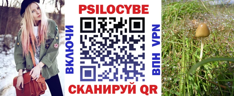 Псилоцибиновые грибы MAGIC MUSHROOMS  Купить где  Ростов-на-Дону 